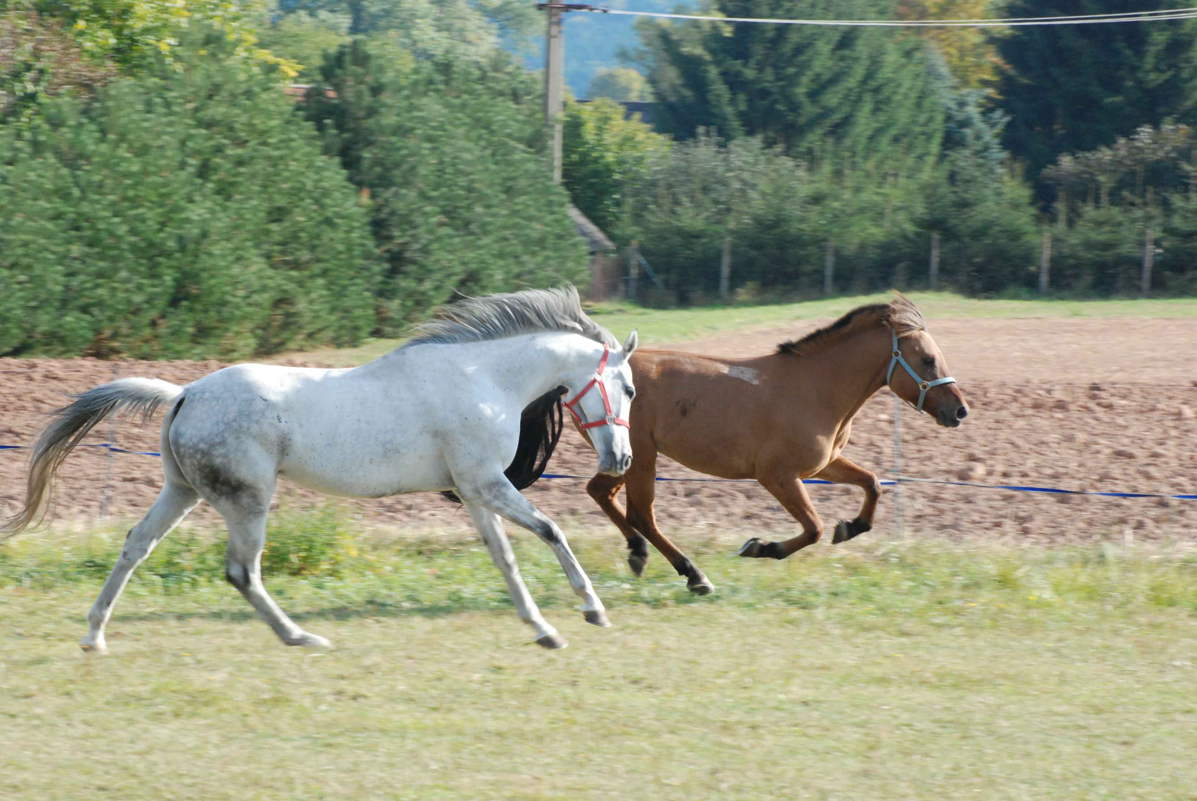 DSC_0069.jpg