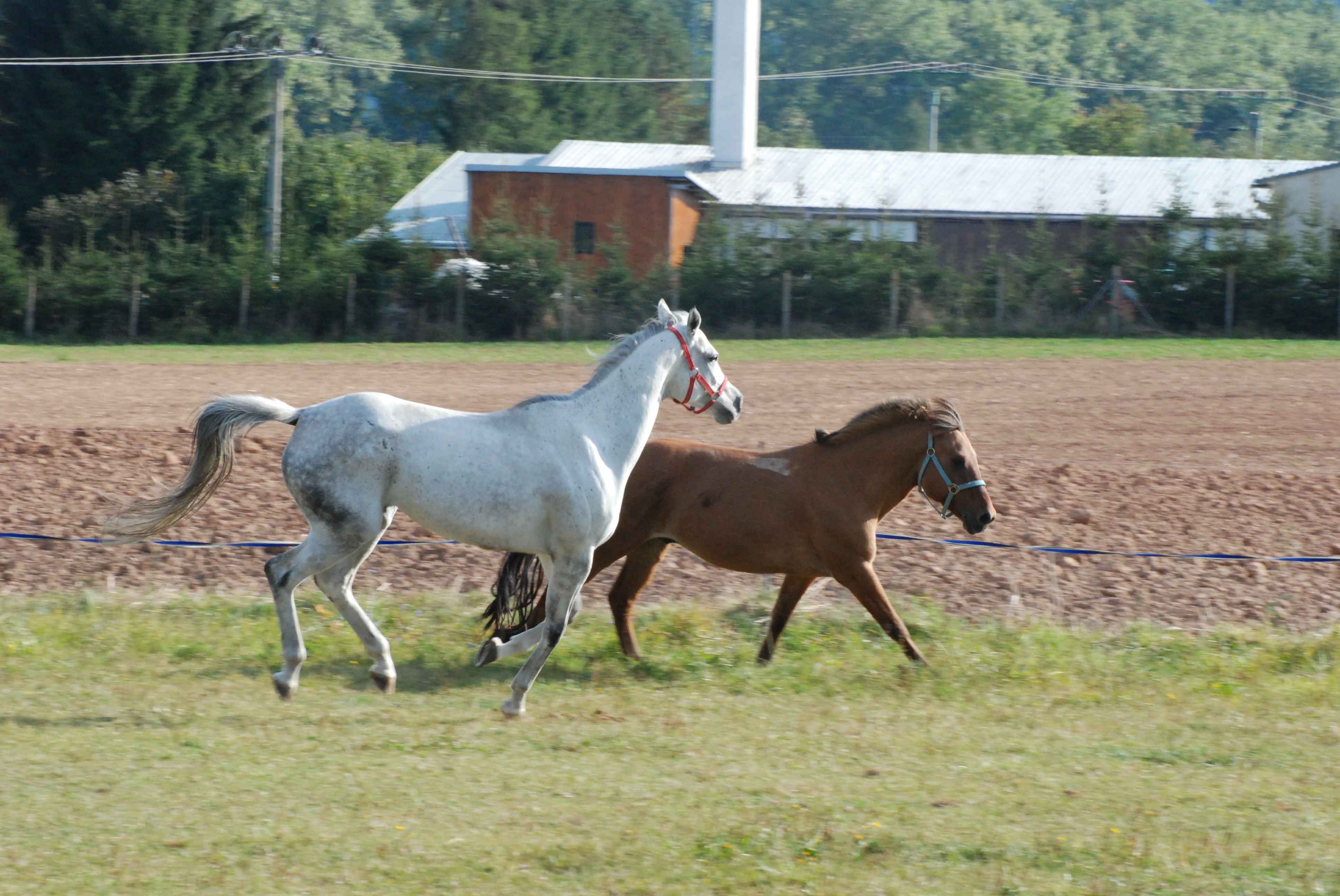 DSC_0071.jpg