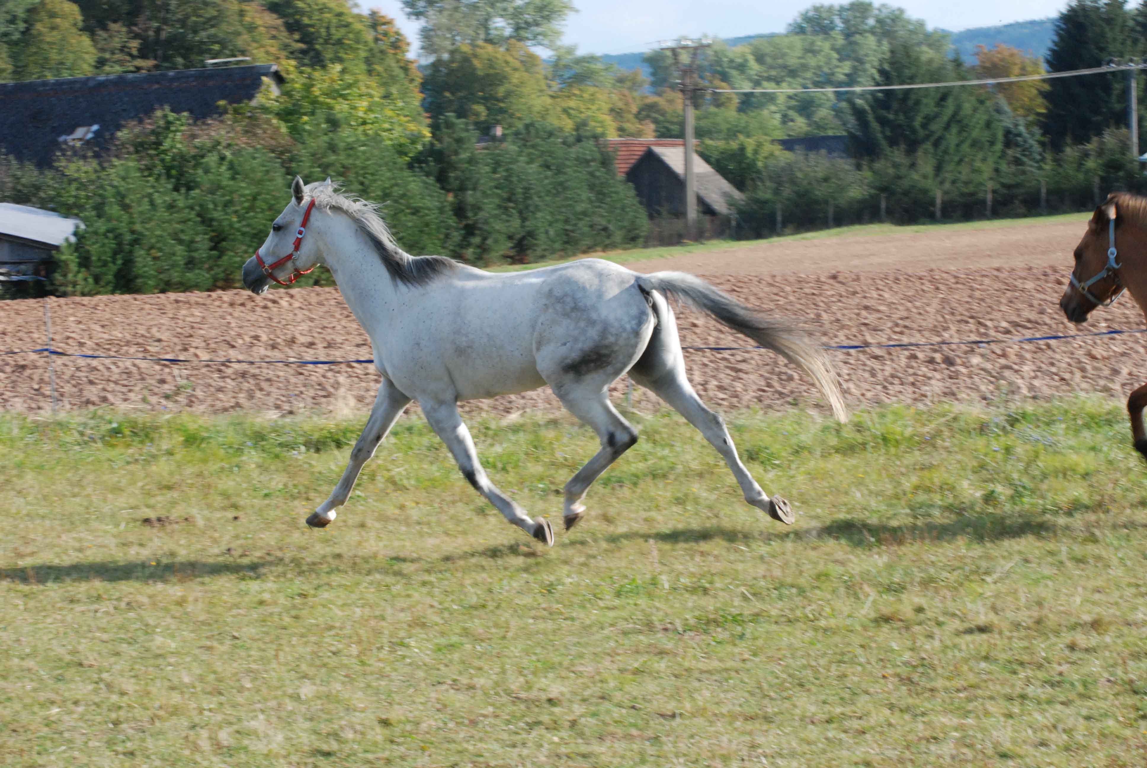 DSC_0072.jpg