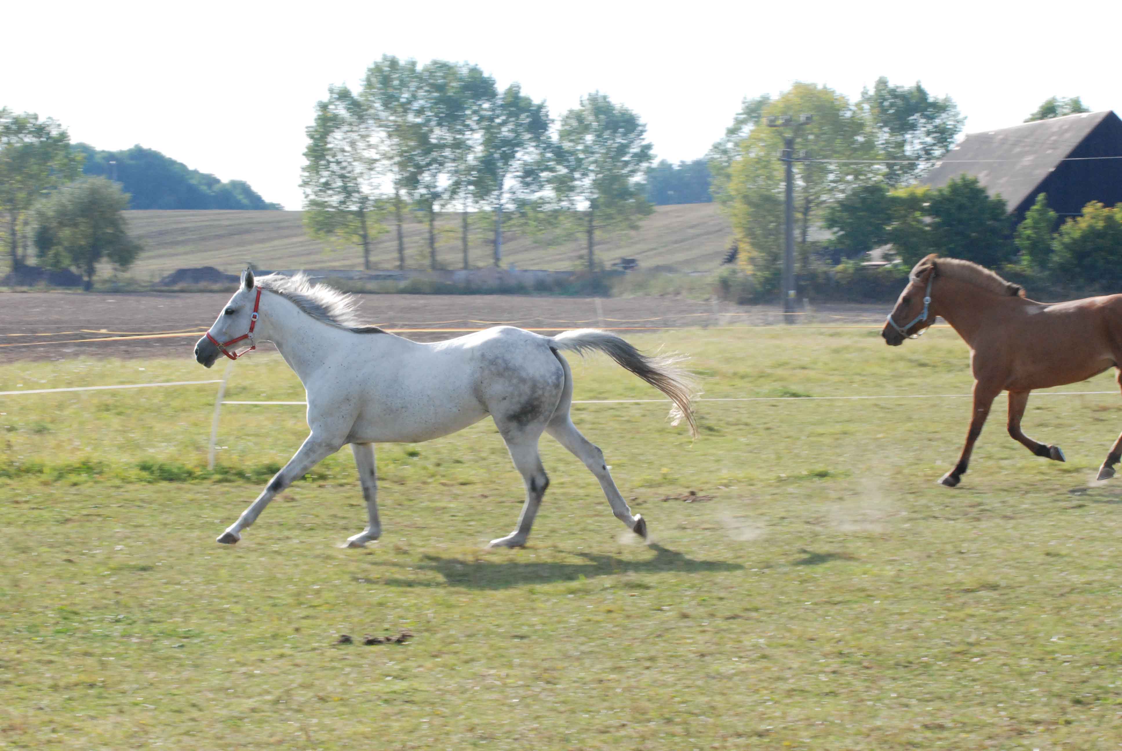 DSC_0085.jpg