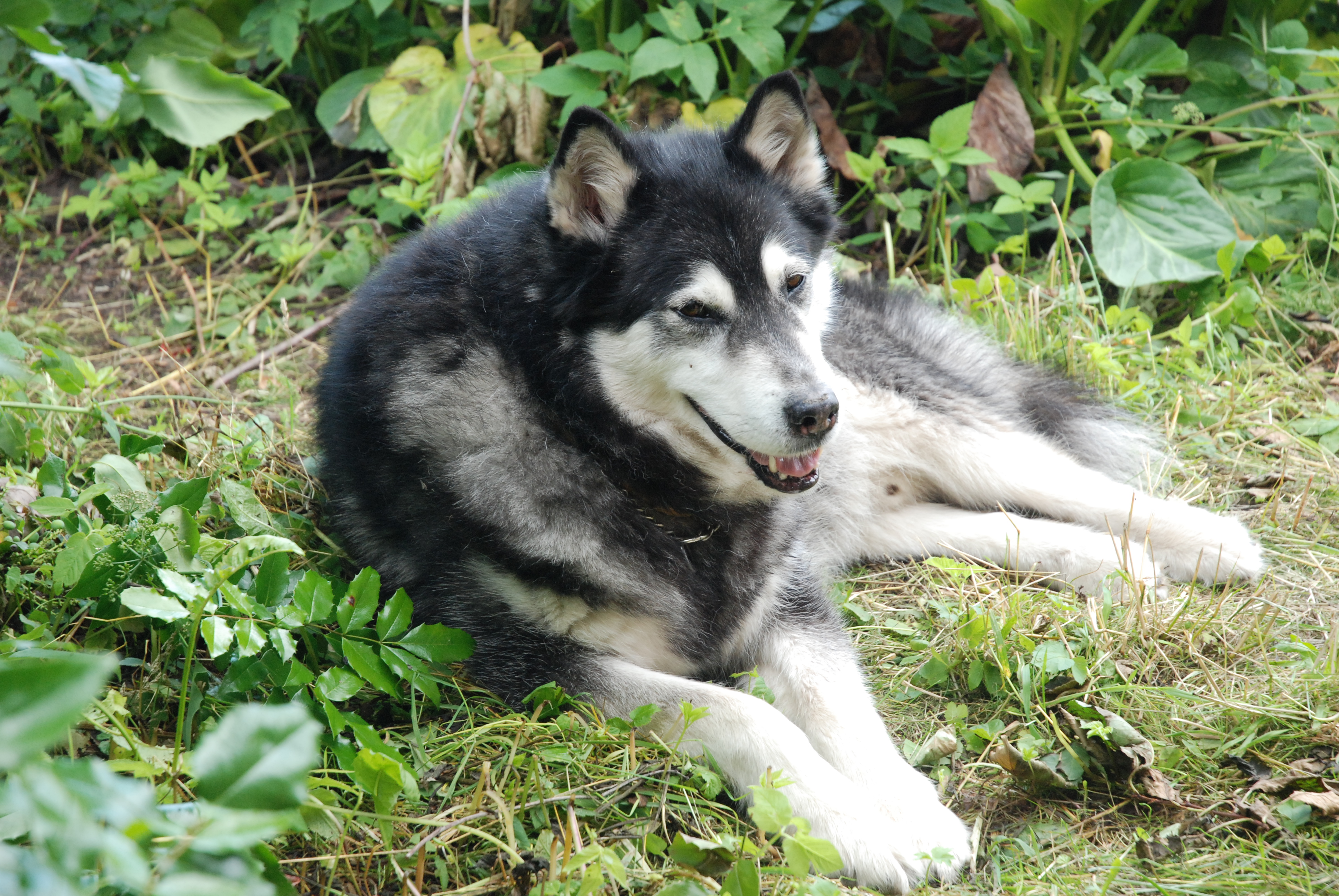 DSC_0161.JPG