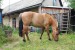DSC_0174.JPG